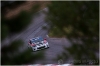 Canadian Touring Car Championship