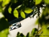 GP of Mosport 2010-Saturday