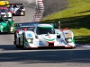 ALMS-Mosport GP-Practice-Qualifying-Race