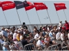 Honda Indy Toronto