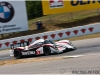 Muscle Milk AMR-ALMS