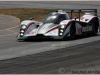 Muscle Milk AMR-ALMS