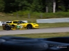 Oliver Gavin|Tommy Milner-Corvette Racing